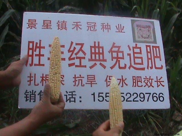東北回訪(fǎng)